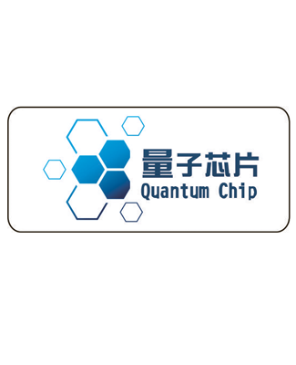 量子医灸芯片